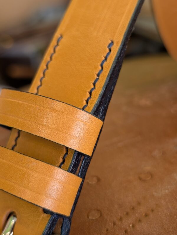 Belt - London Tan and Blue in Sedgwick Leather 38 (2024) - subtle blue edge and stitch